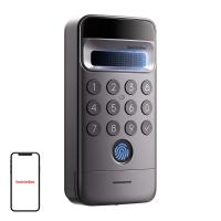 62168_1-810150549775.jpg