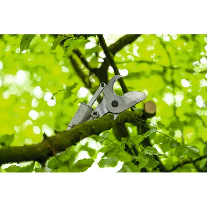 bosch-powertools-cordless-garden-shears-ggp18v-45ep-stainles-93886-06008d8002-w.webp