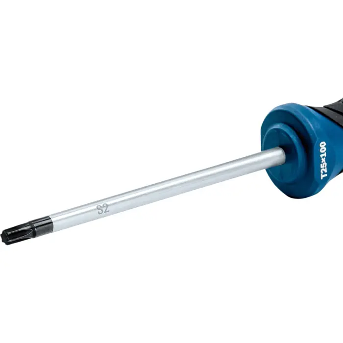 bosch-powertools-screwdriver-tx-25-x-100-professional-bluebl-35330-1600a01v0d-w.webp