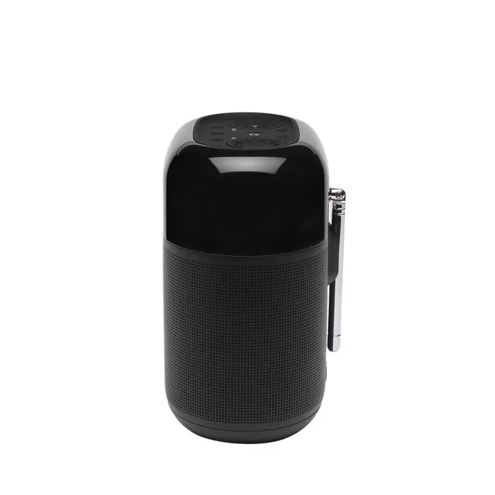jbl-tuner-xl-euna-prenosni-brezzicni-zvocnik-dabfm-radio-crn-17785-e0019821.webp