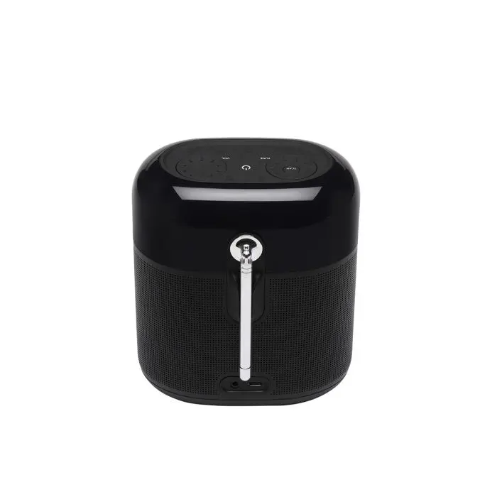 jbl-tuner-xl-euna-prenosni-brezzicni-zvocnik-dabfm-radio-crn-18605-e0019821.webp