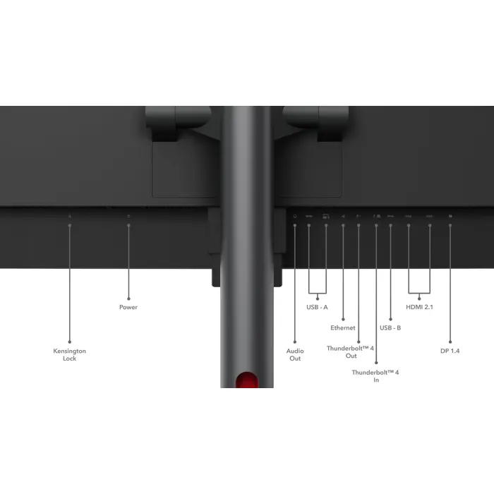 lenovo-thinkvision-p49w-30-49-ips-329-60-hz-4-ms-5120-x-1440-20549-wlononwcrpsjj.webp