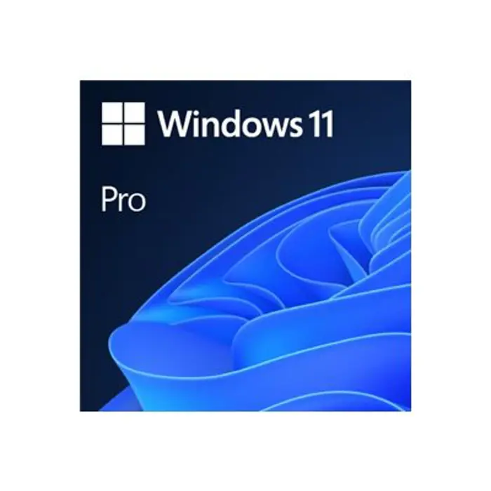 ms-1x-win-11-pro-64bit-dvd-oem-en-42143-4334306.webp