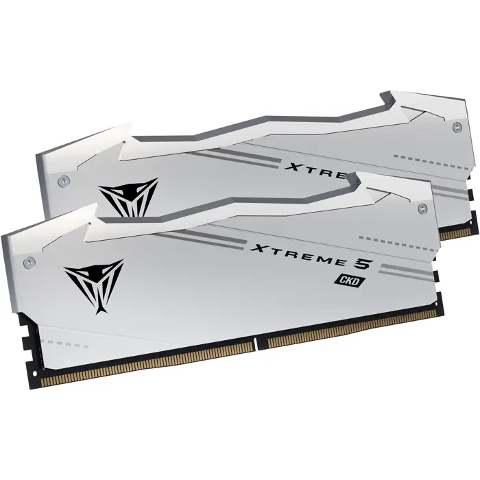 patriot-ddr5-48gb-9200-cl-44-2x-24-gb-dual-kit-silver-ram-vx-89916-vx548g9244ck-w.webp