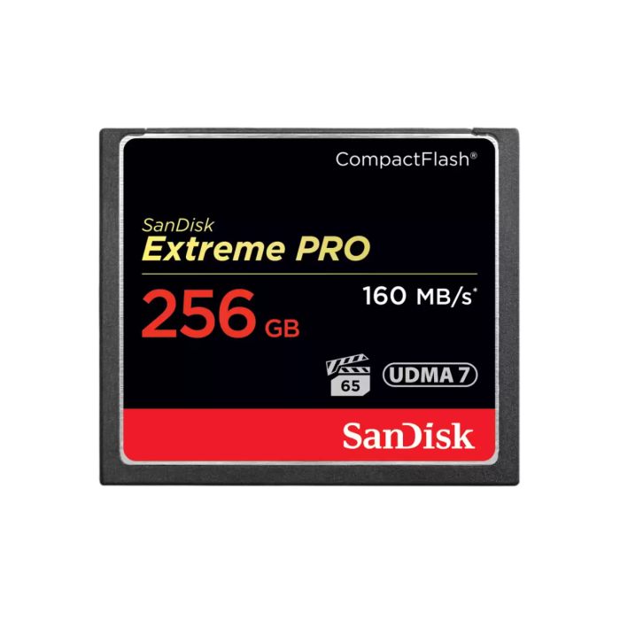 sandisk-256gb-extreme-pro-compactflash-udma-7-vpg-65-spomins-23782-e0019741.webp