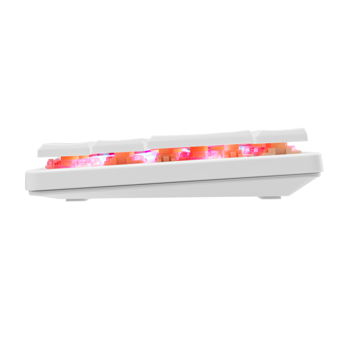 white-shark-gaming-tipkovnica-gk-006112-nagamaki-bijela-crve-88903-1112168.webp