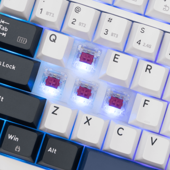 white-shark-pl-tipkovnica-gk-007251-excalibur-bijela-us-99363-3858894508693.webp
