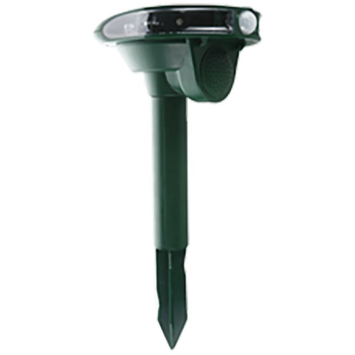 DEZ-14510_2.jpg