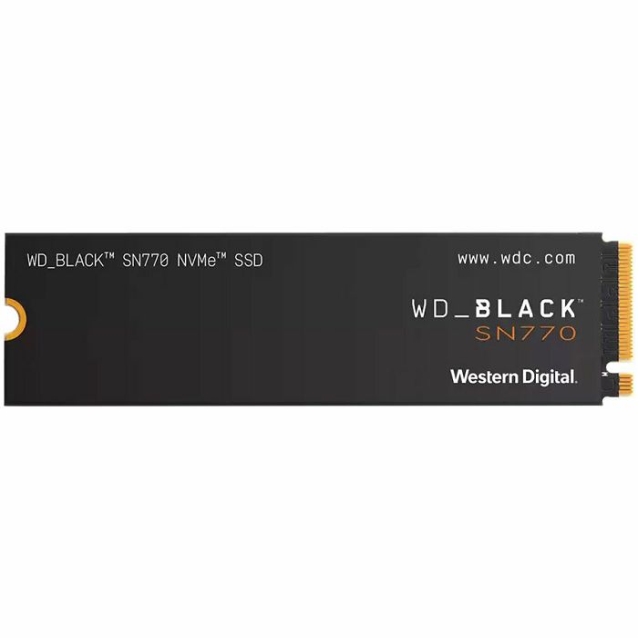 WDS100T3X0E_1.jpg